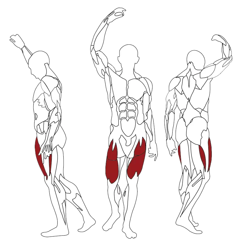 BH Fitness INERTIA Leg Extension L010B
