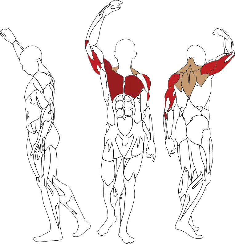 BH Fitness INERTIA Shoulder / Chest Press L080B
