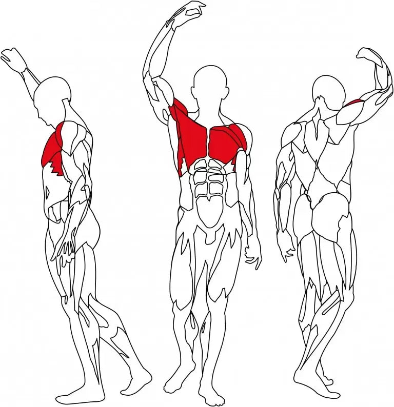 BH Fitness INERTIA Rear Deltoid L410B