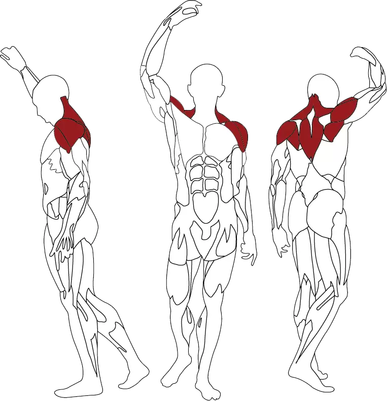 BH Fitness INERTIA Rear Deltoid L410B