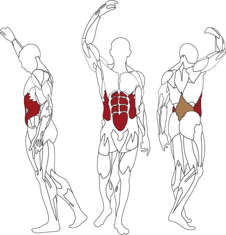 BH Fitness INERTIA Ab / Lower Back L610B