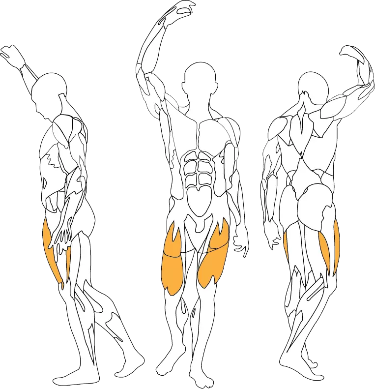 BH Fitness Leg Extension PL010B