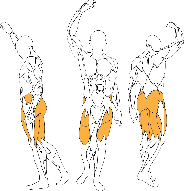 BH Fitness Hip Thrust PL340B