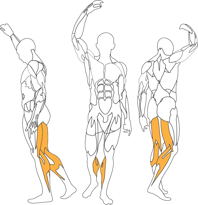 BH Fitness Leg Curl PL170B