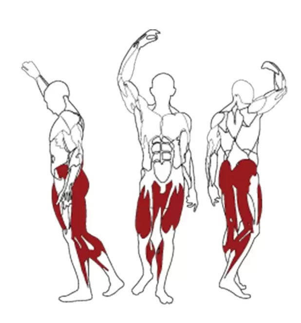 BH Fitness Hack Squat PL200B