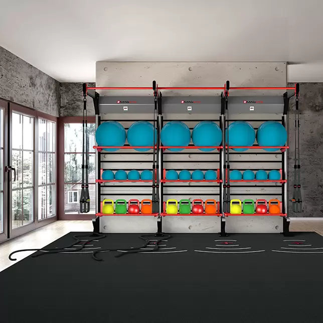 BH Fitness Magwall I