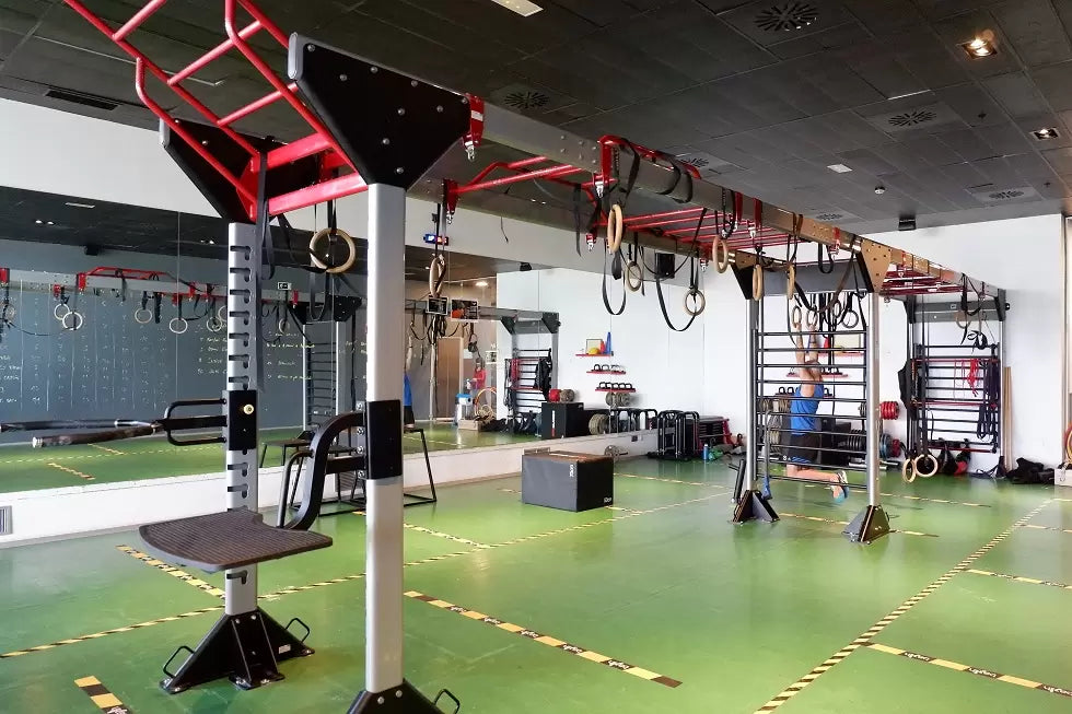 BH Fitness Magwall II