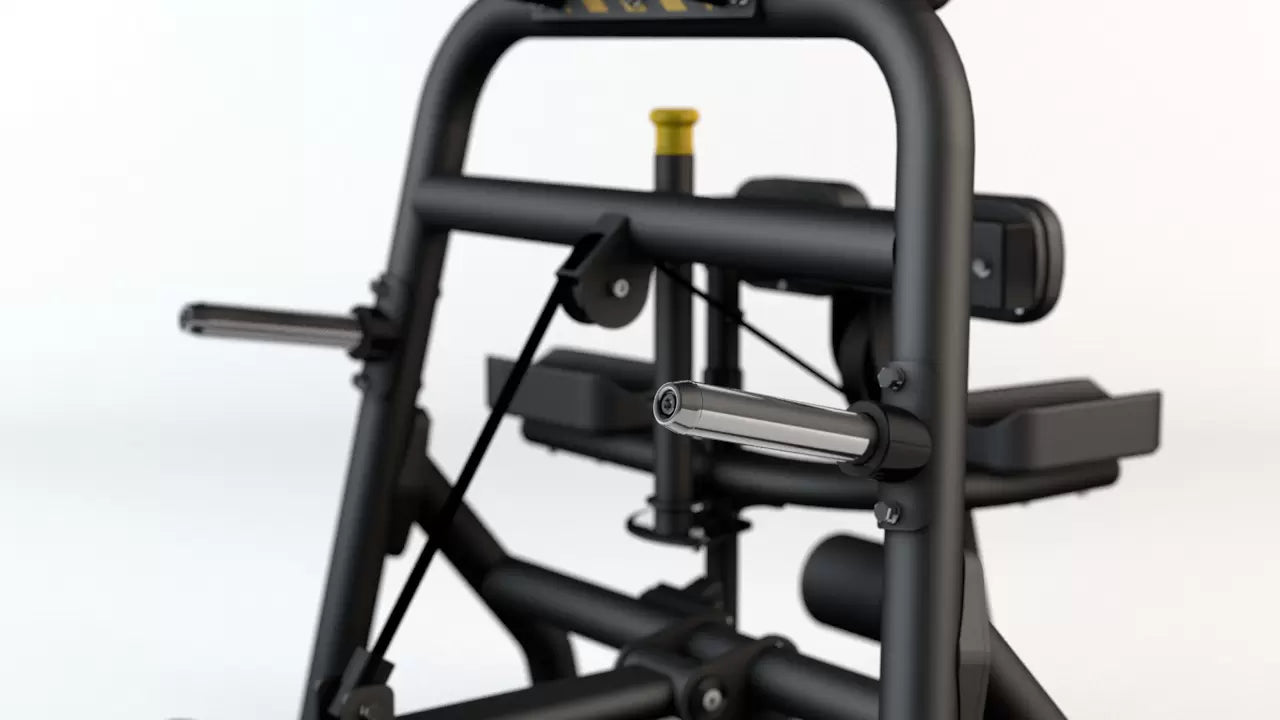 BH Fitness Leg Curl PL170B