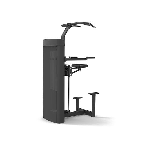 Spirit Fitness Pull Up / Dip Assist SP-4314