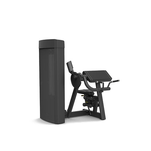 Spirit Fitness Biceps Curl SP-4307