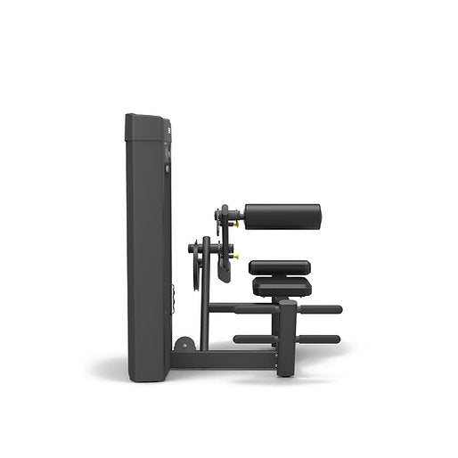 Spirit Fitness Back Extension SP-4310