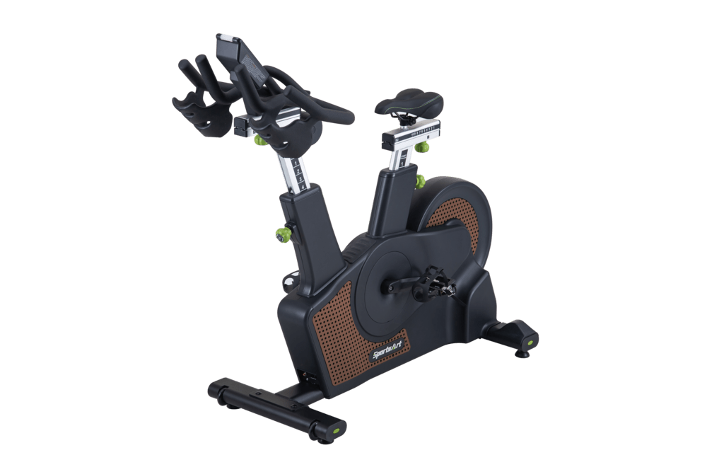 SportsArt ECO-NATURAL Status Line Indoor Bike C516