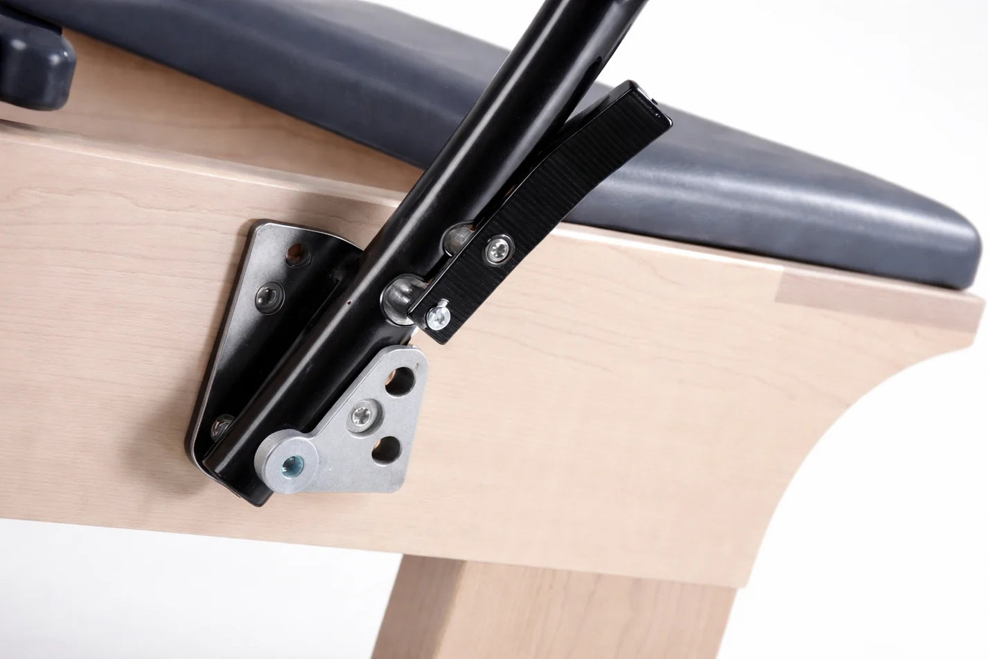 The Virtù Line Reformer CANNA