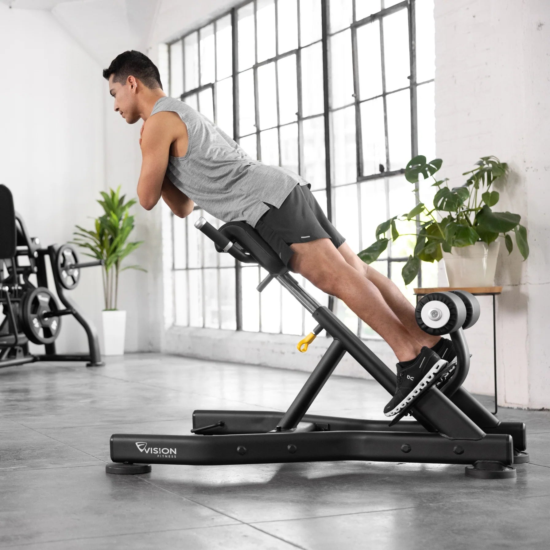 Vision Fitness Rückenstrecker