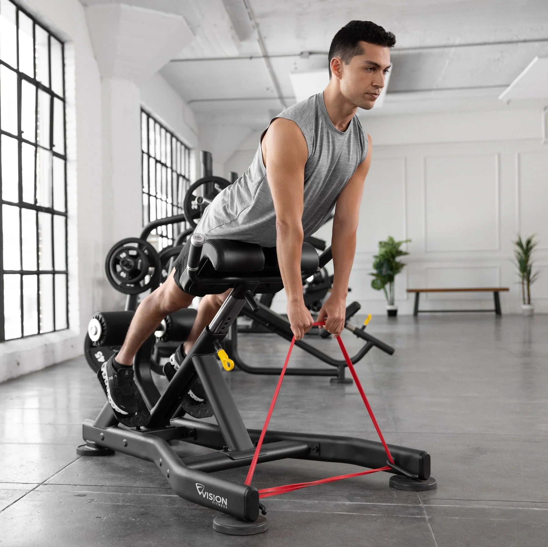 Vision Fitness Rückenstrecker