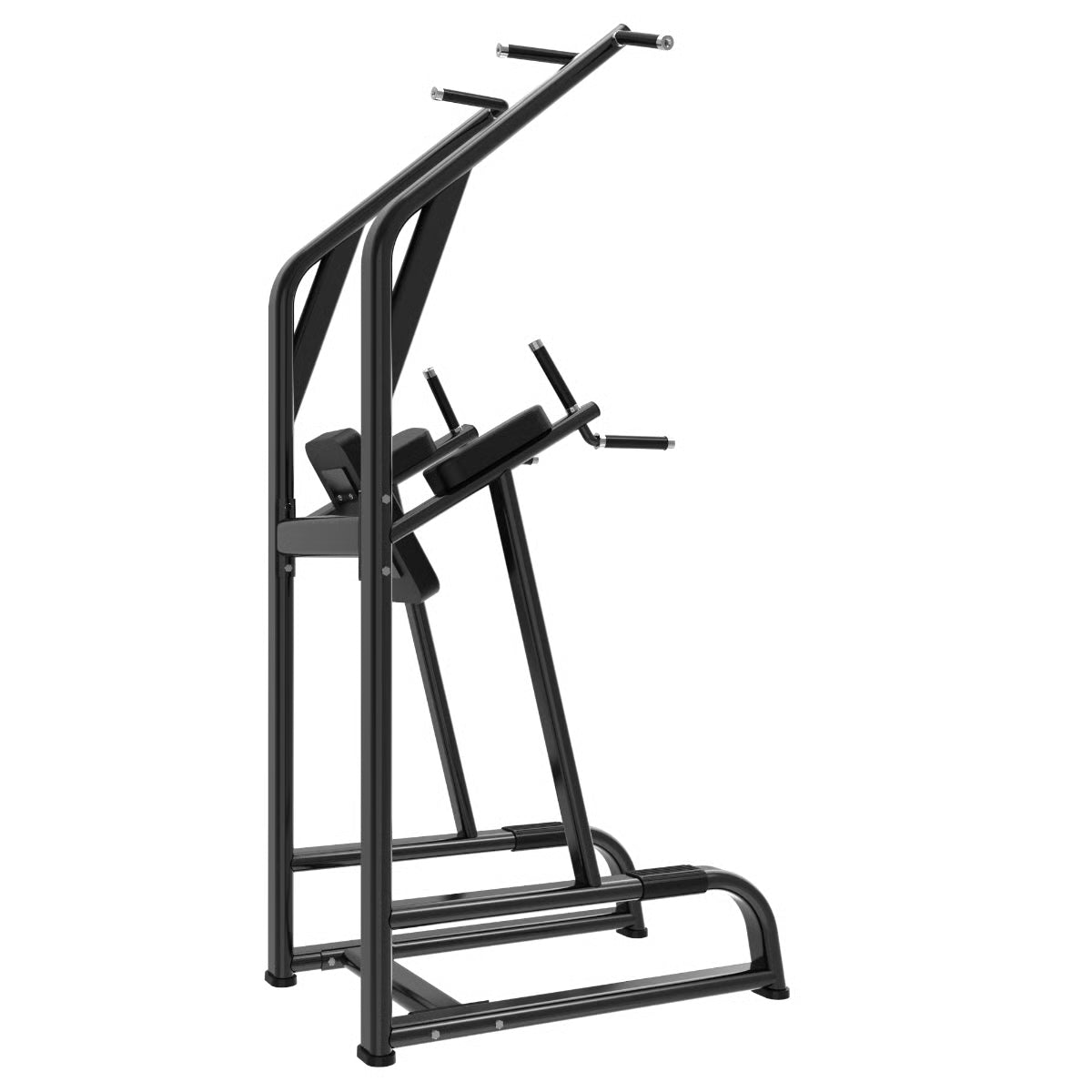 Titanium Strength Black Series Klimmzug und Dipstation