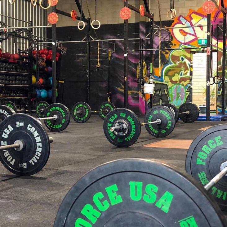 ForceUSA Ultimate Training Bumper Plates