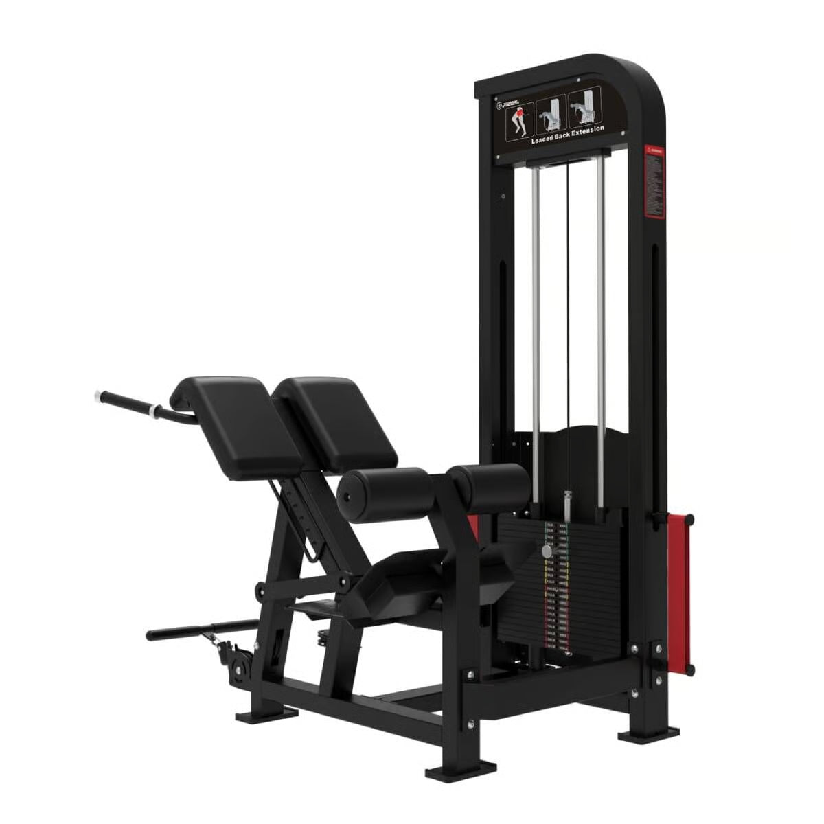 Titanium Strength Elite Series Ultimate Rückenstrecker