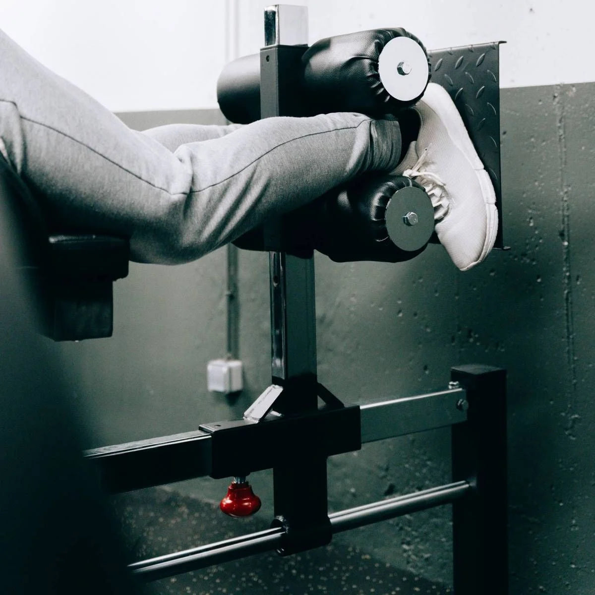 Titanium Strength Glute Ham Developer GHD GH130
