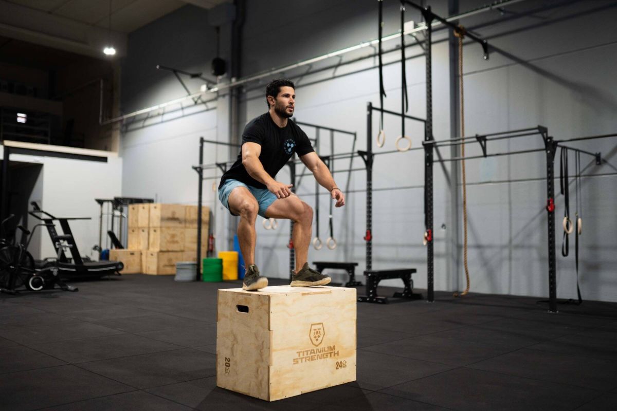 Titanium Strength Plyometrische Box Holz