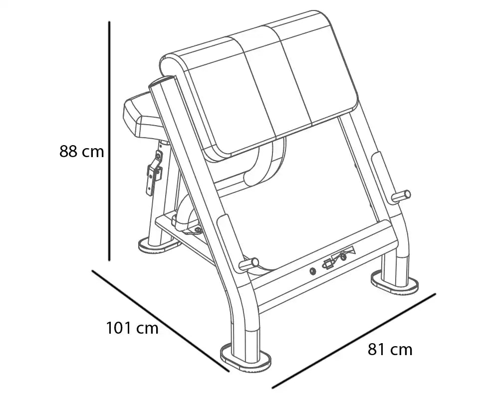 BH Fitness Scott Bench