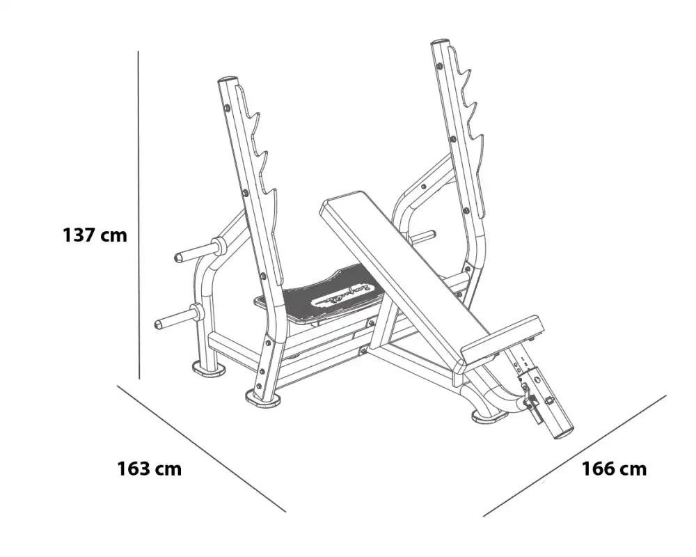 BH Fitness Incline Press