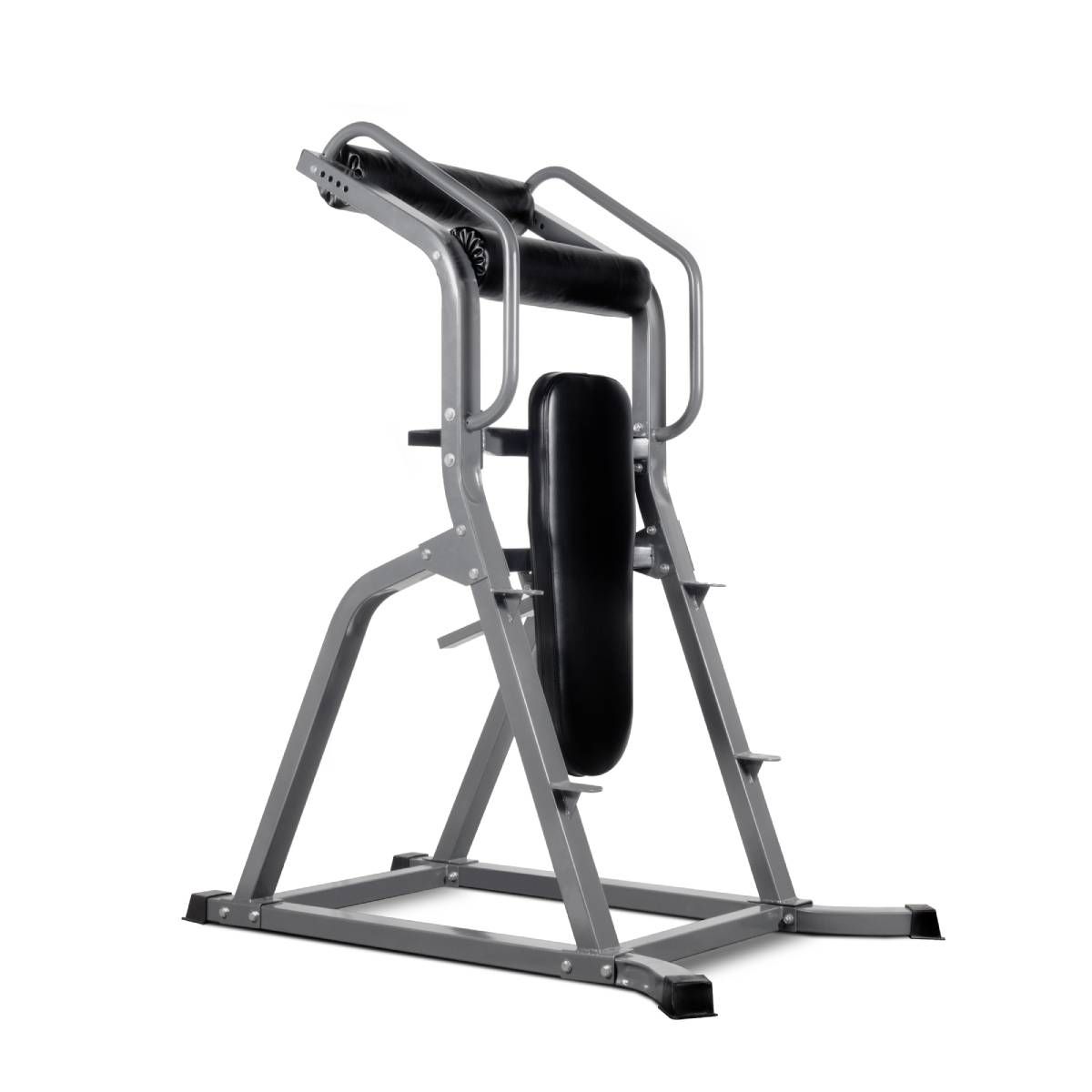Titanium Strength Vertikaler Bauchtrainer VAB60