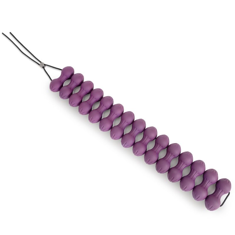 Elina Pilates Spine Aligner
