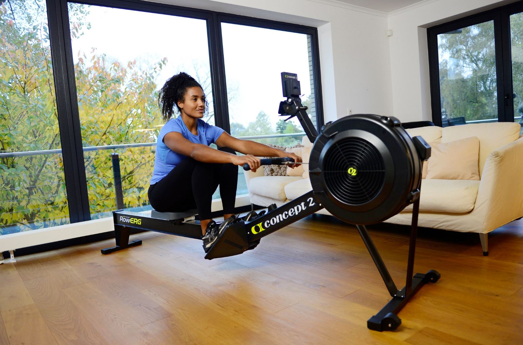 Concept2 RowErg PM5 (Standard)