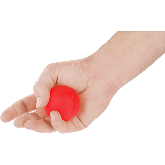 Physioball