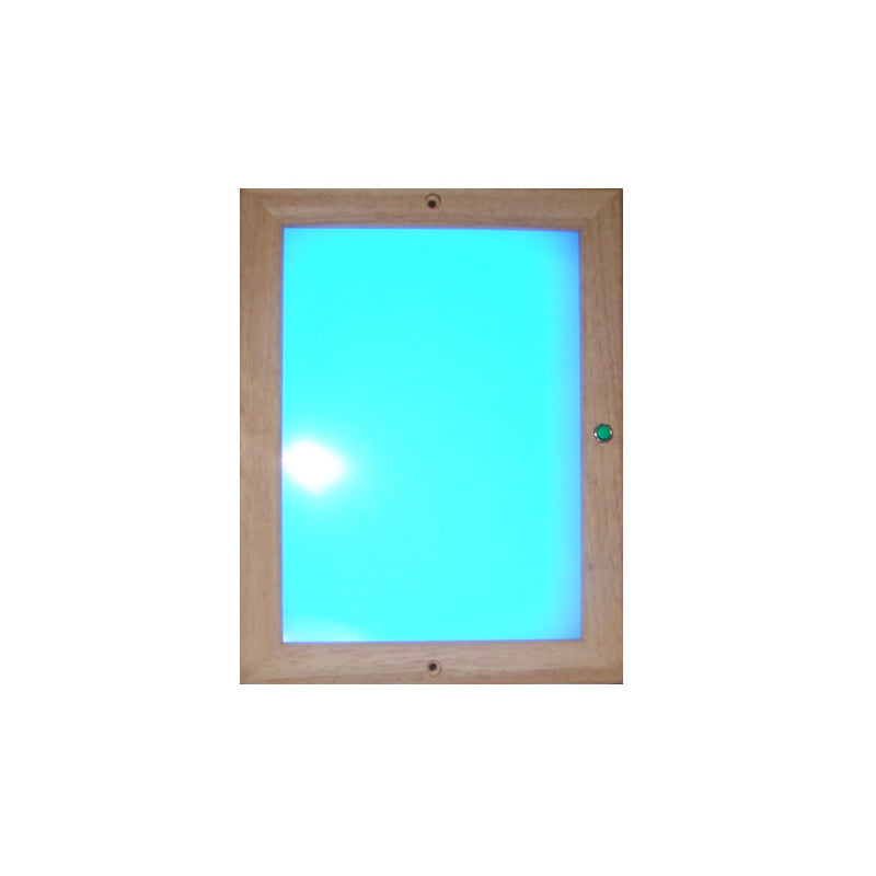 Infrarot Farblichtpaneel LED 24x31cm (mit Fernbedienung)