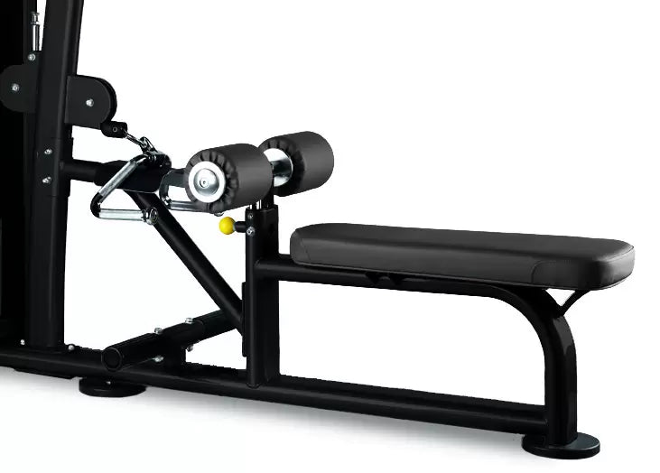 BH Fitness INERTIA Lat Pull / Rower L550B