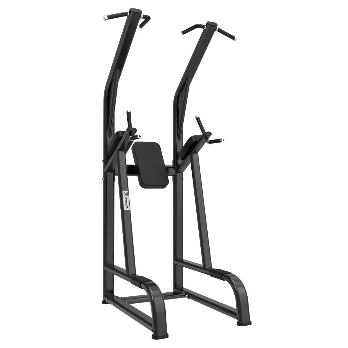 Titanium Strength Black Series Klimmzug und Dipstation