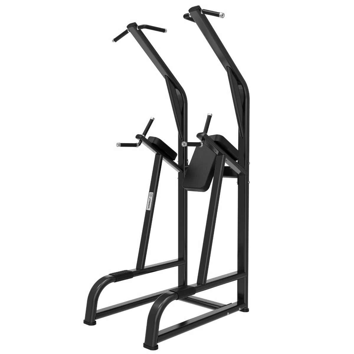 Titanium Strength Black Series Klimmzug und Dipstation