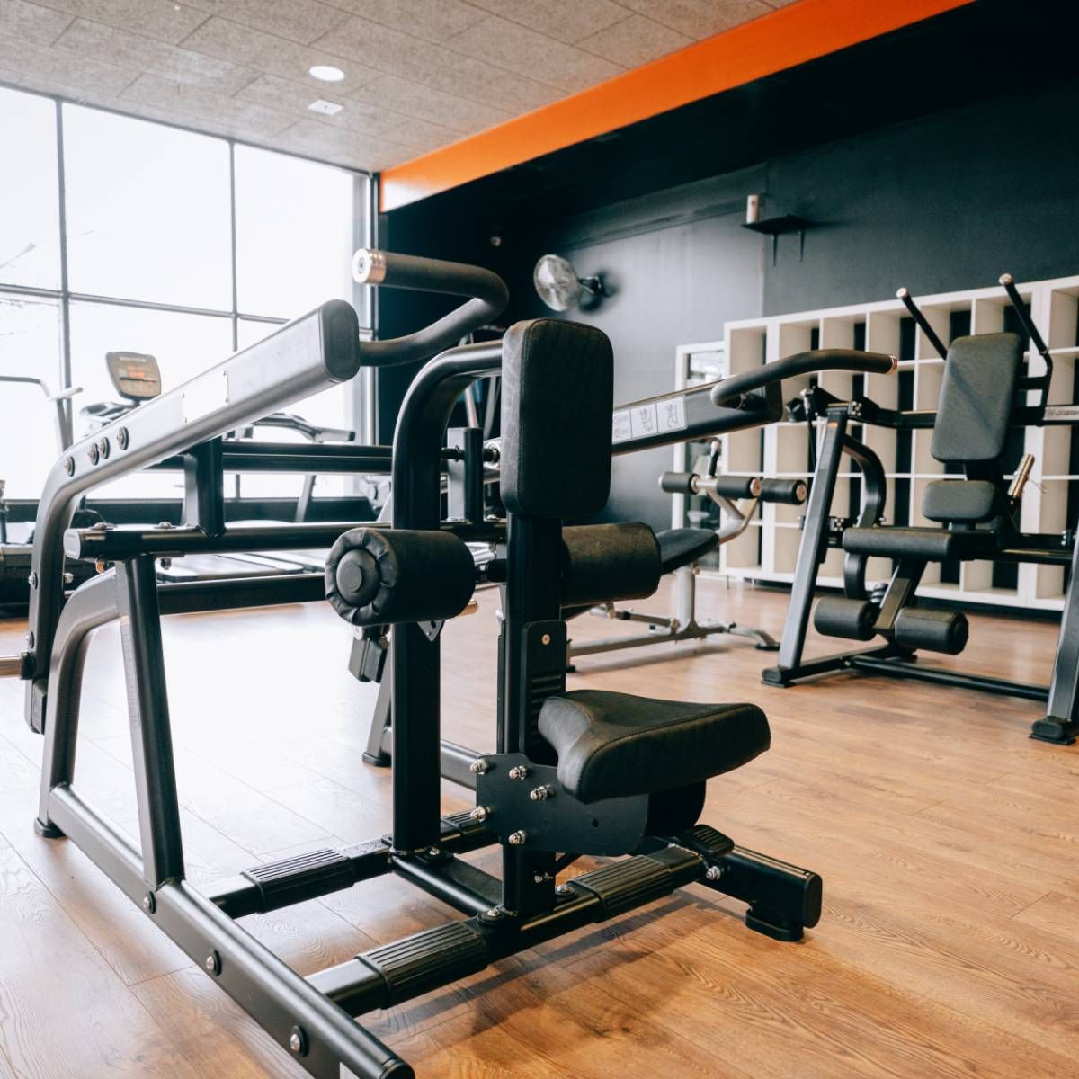 Titanium Strength Black Series Seated Dip