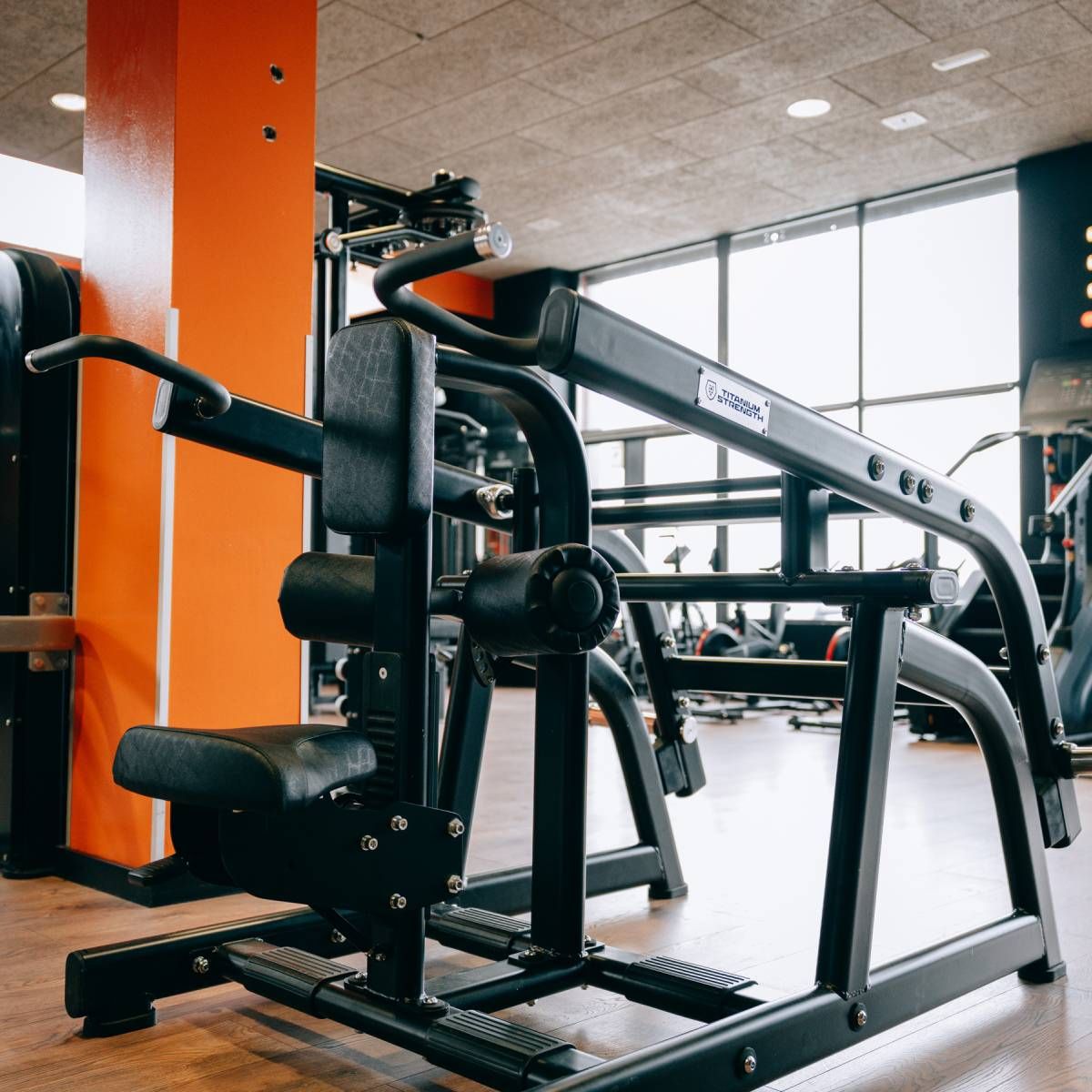 Titanium Strength Black Series Seated Dip
