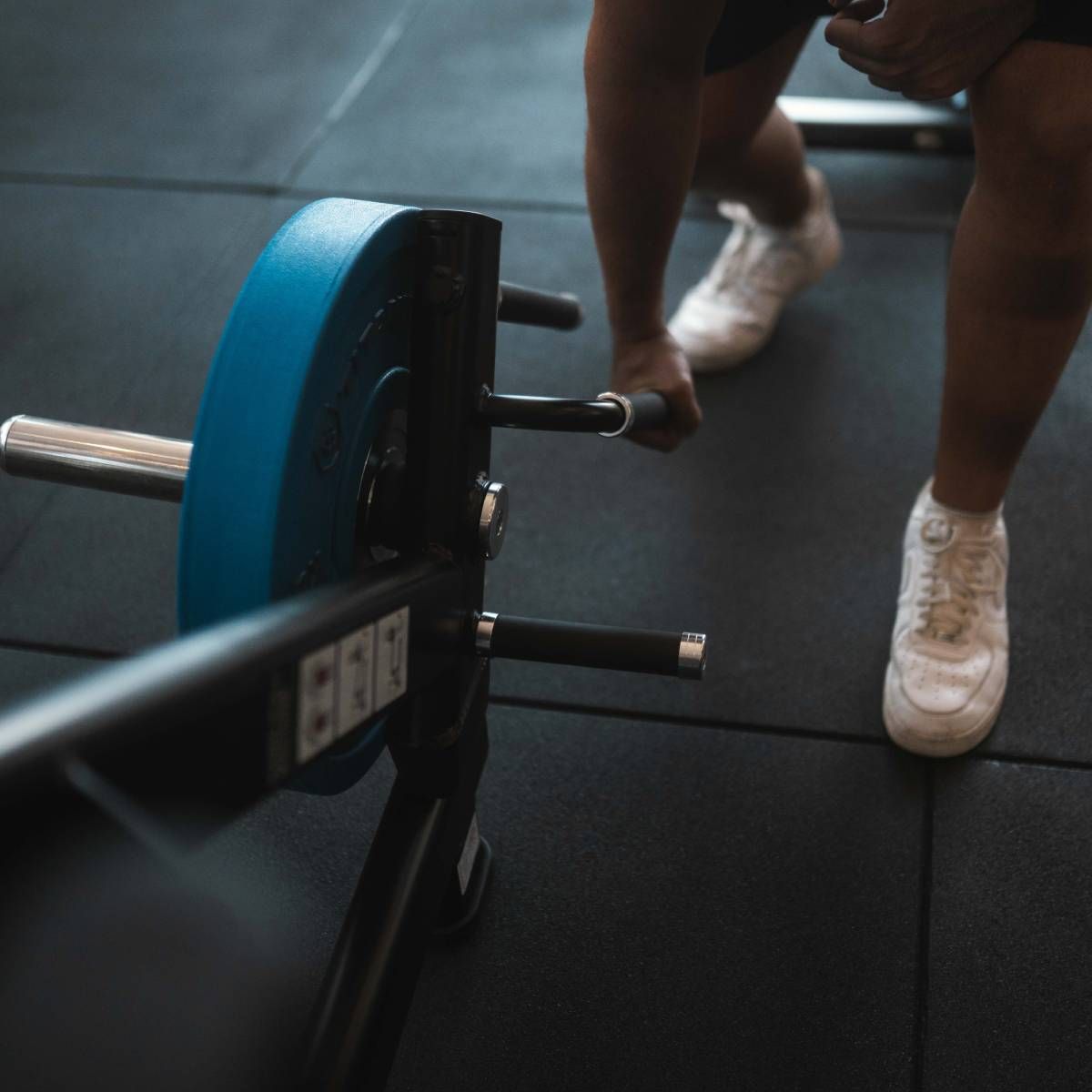 Titanium Strength Black Series Squat Lunge