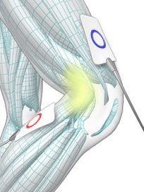 Physiodyn (3rd edition)