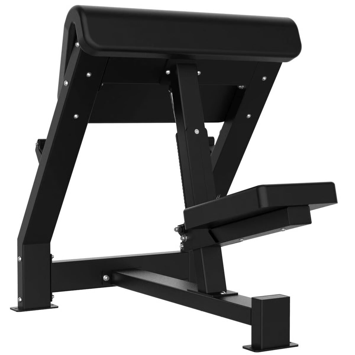 Titanium Strength Elite Series Preacher Curl