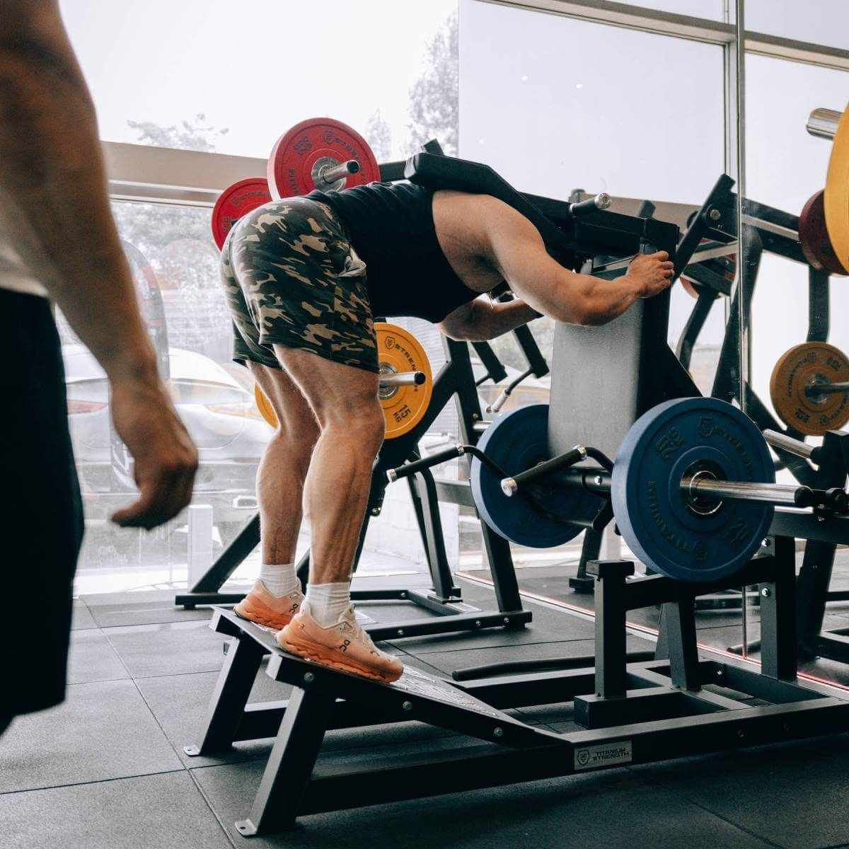 Titanium Strength Elite Series V-Squat mit Hebel