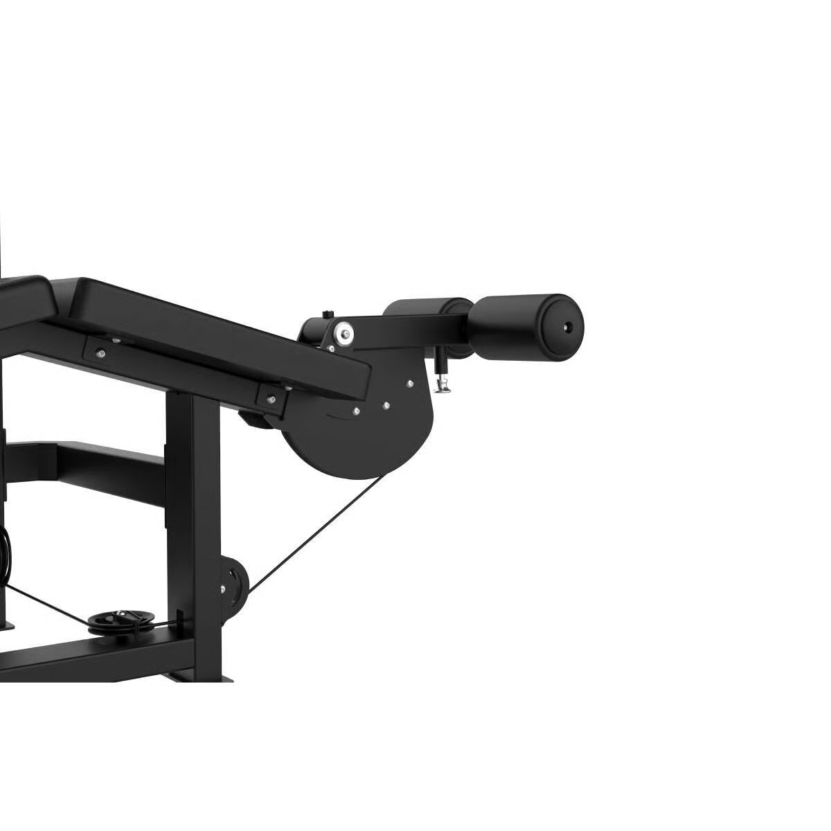 Titanium Strength Elite Series Liegender Beinbeuger