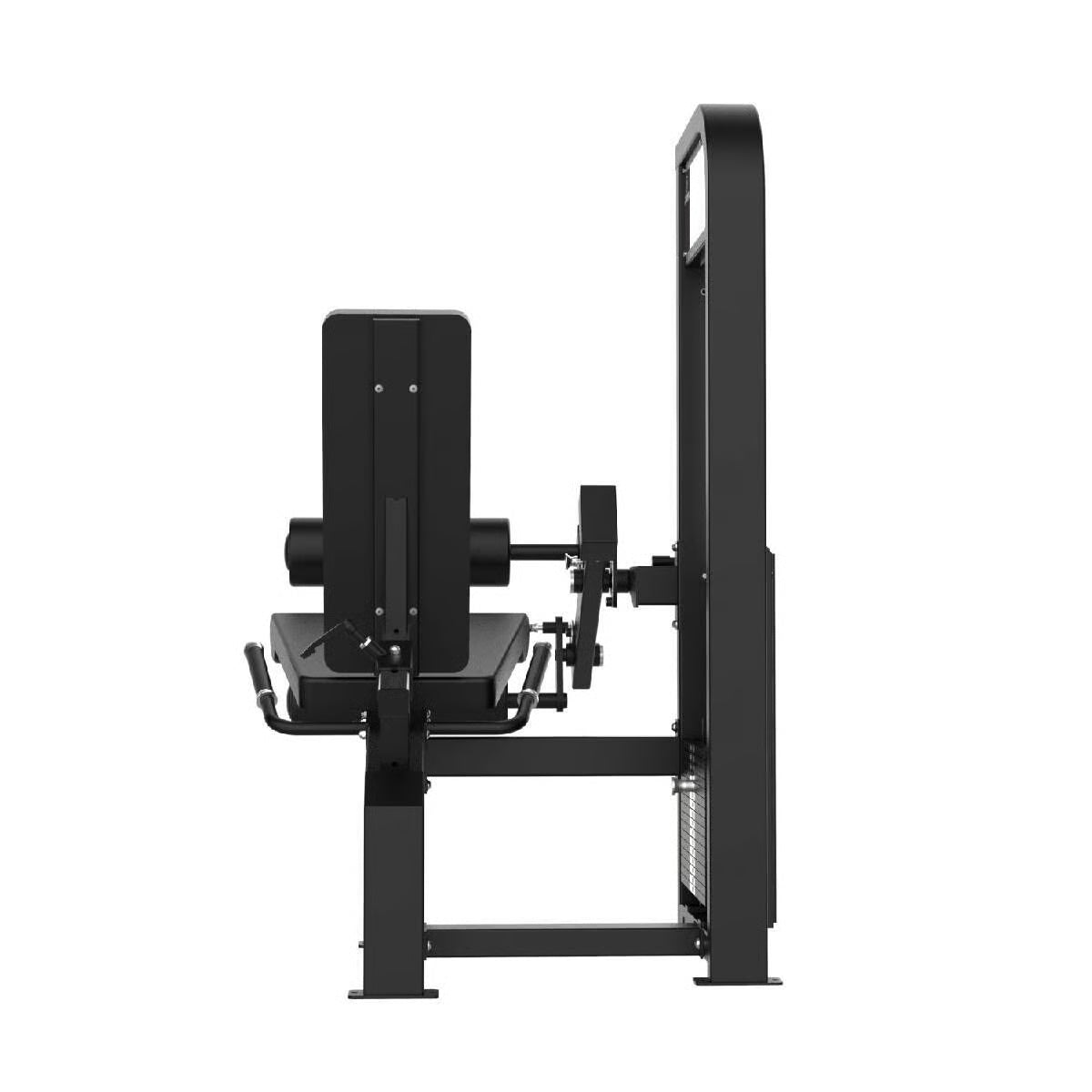 Titanium Strength Elite Series Seated Leg Curl