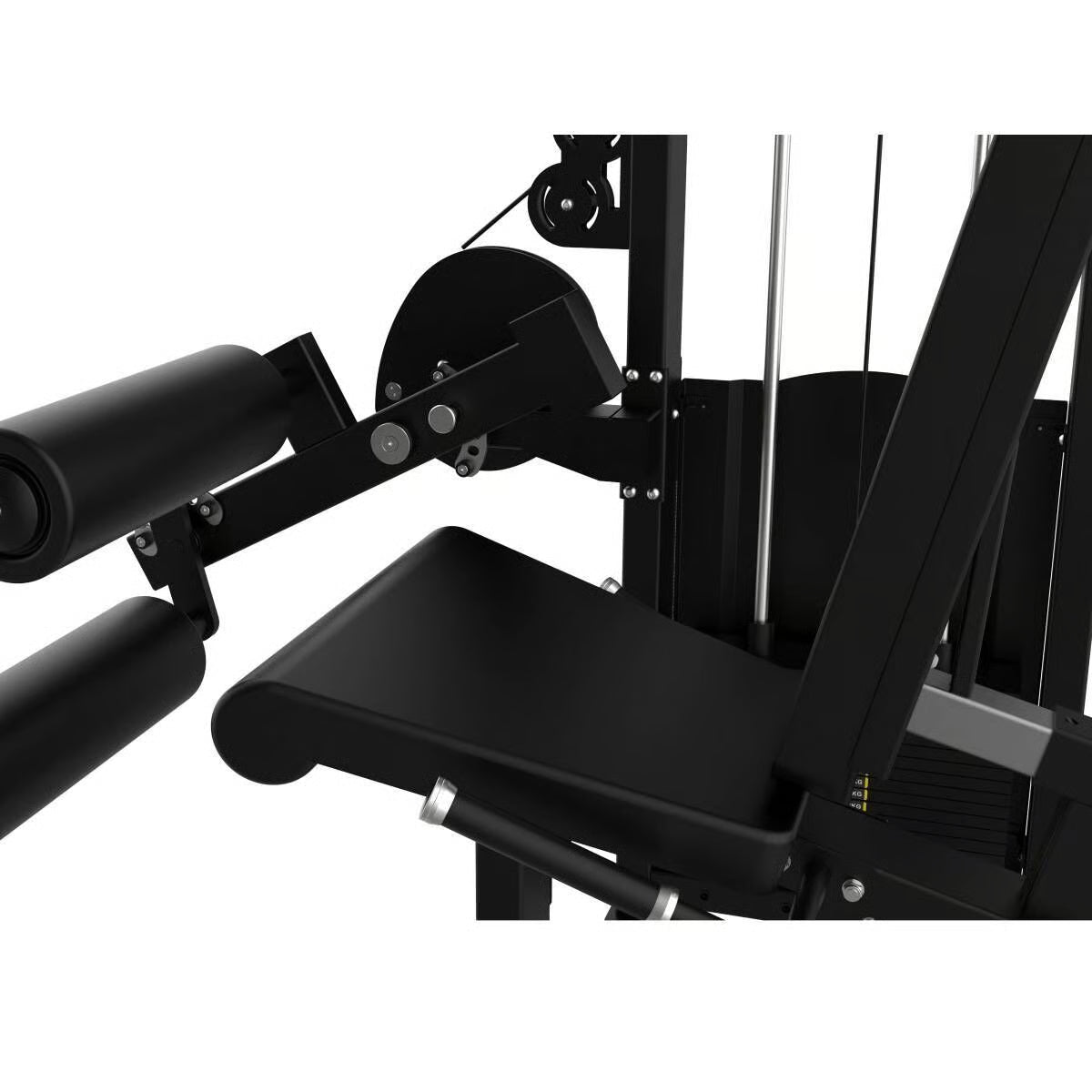 Titanium Strength Elite Series Seated Leg Curl
