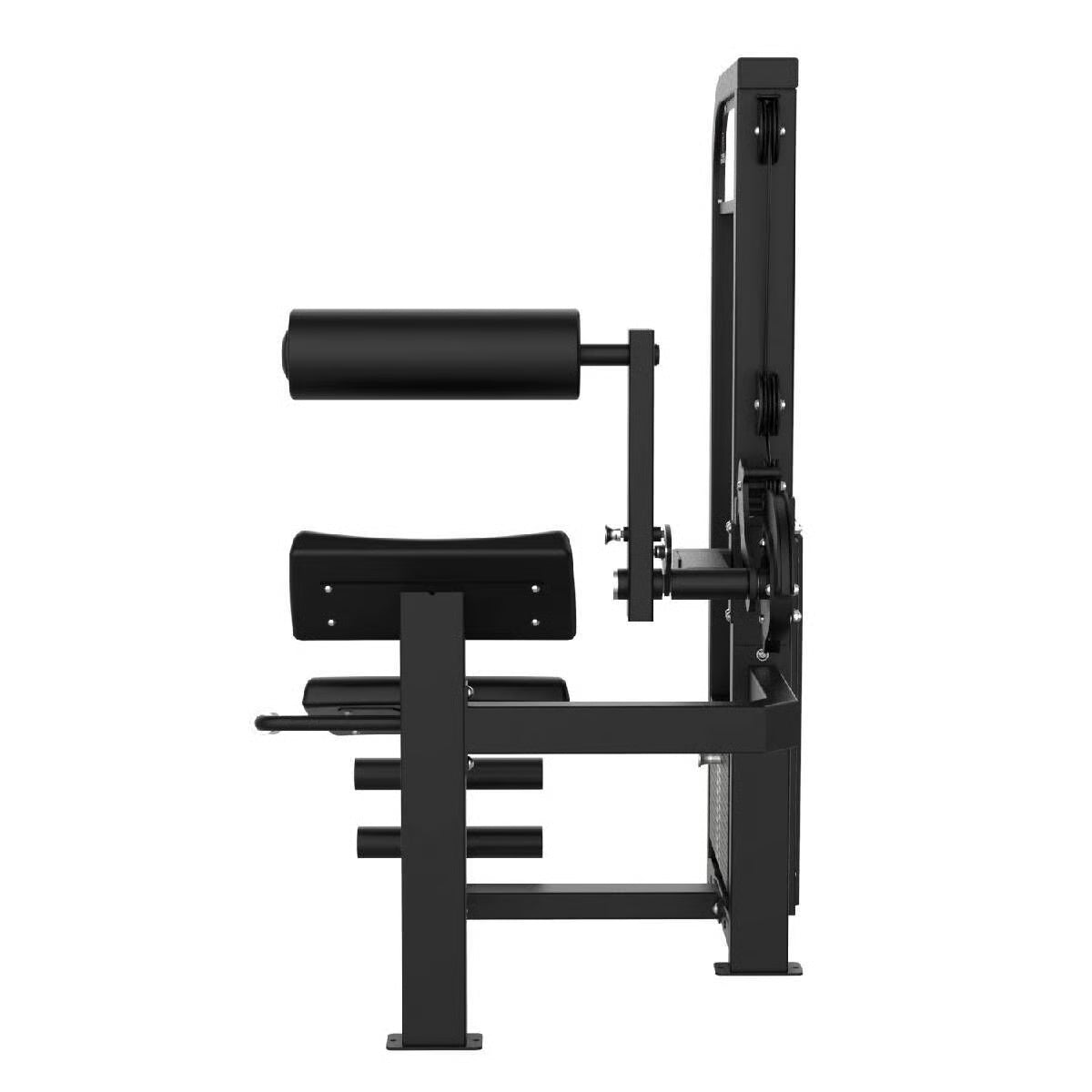 Titanium Strength Elite Series Back and Abdominal Combo