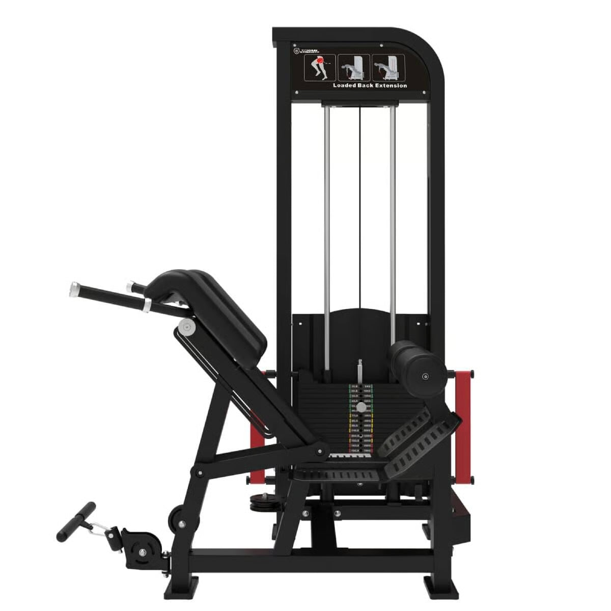 Titanium Strength Elite Series Ultimate Rückenstrecker