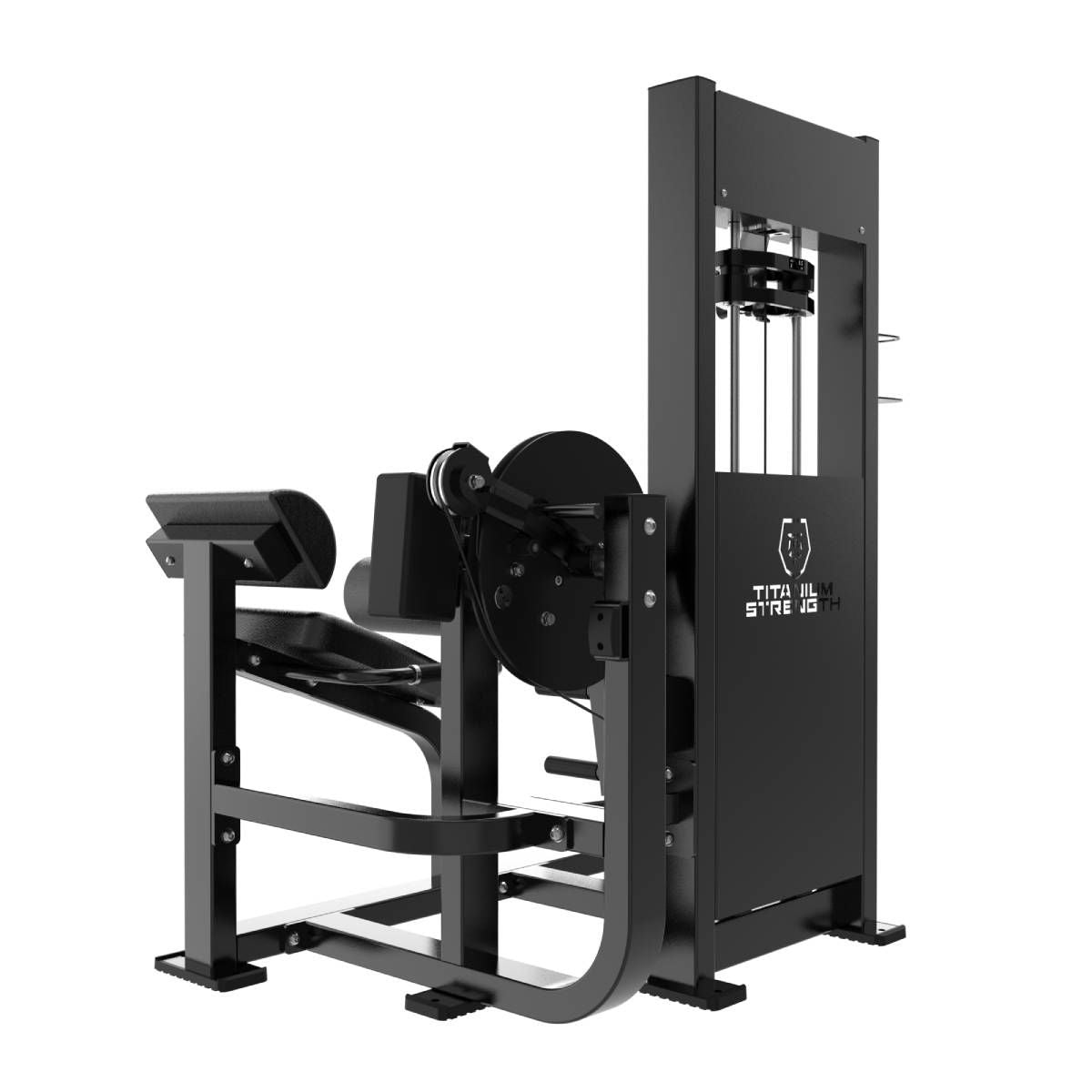 Titanium Strength Elite Series RX Bauch- und Rückenstreckmaschine