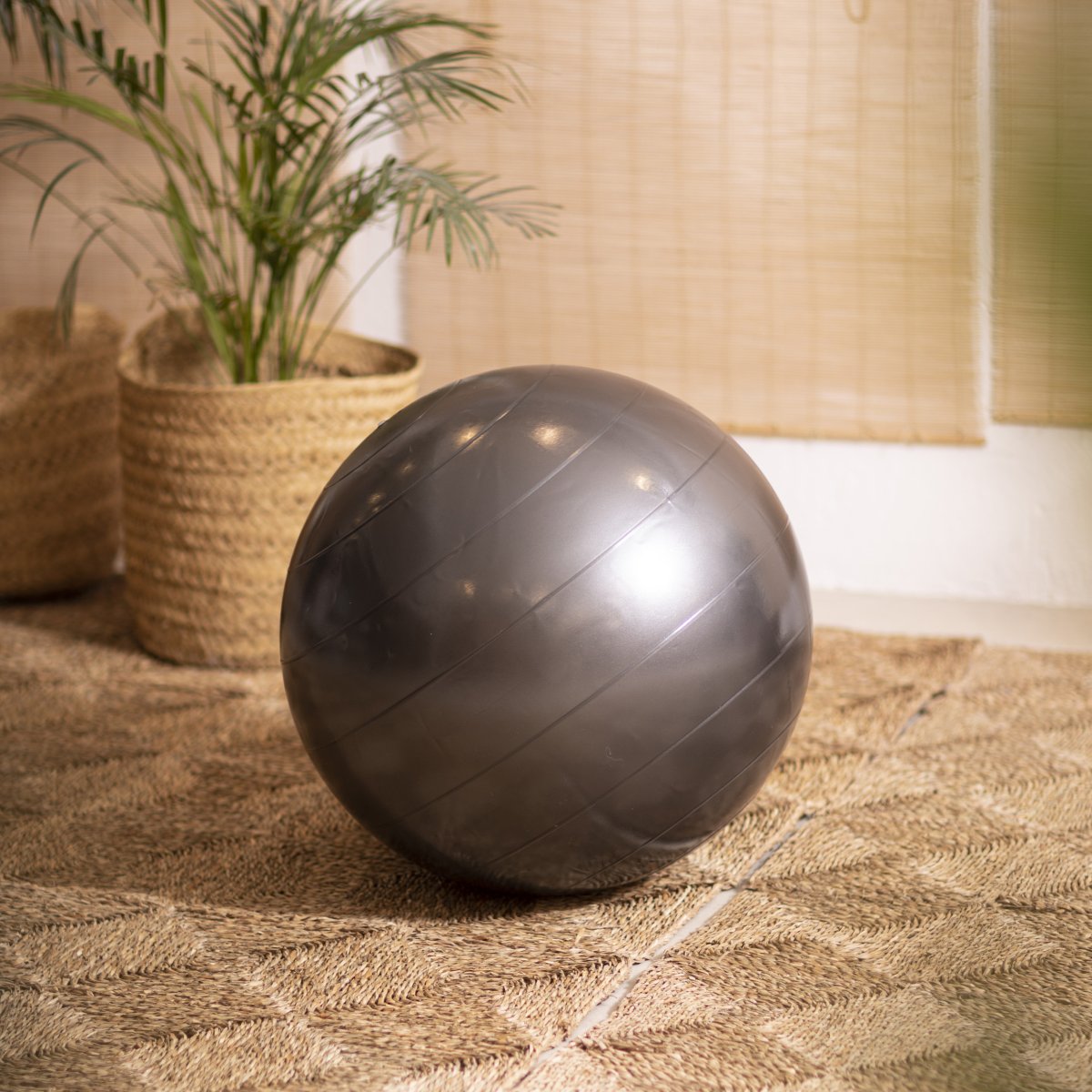 Elina Piates Fitness Ball