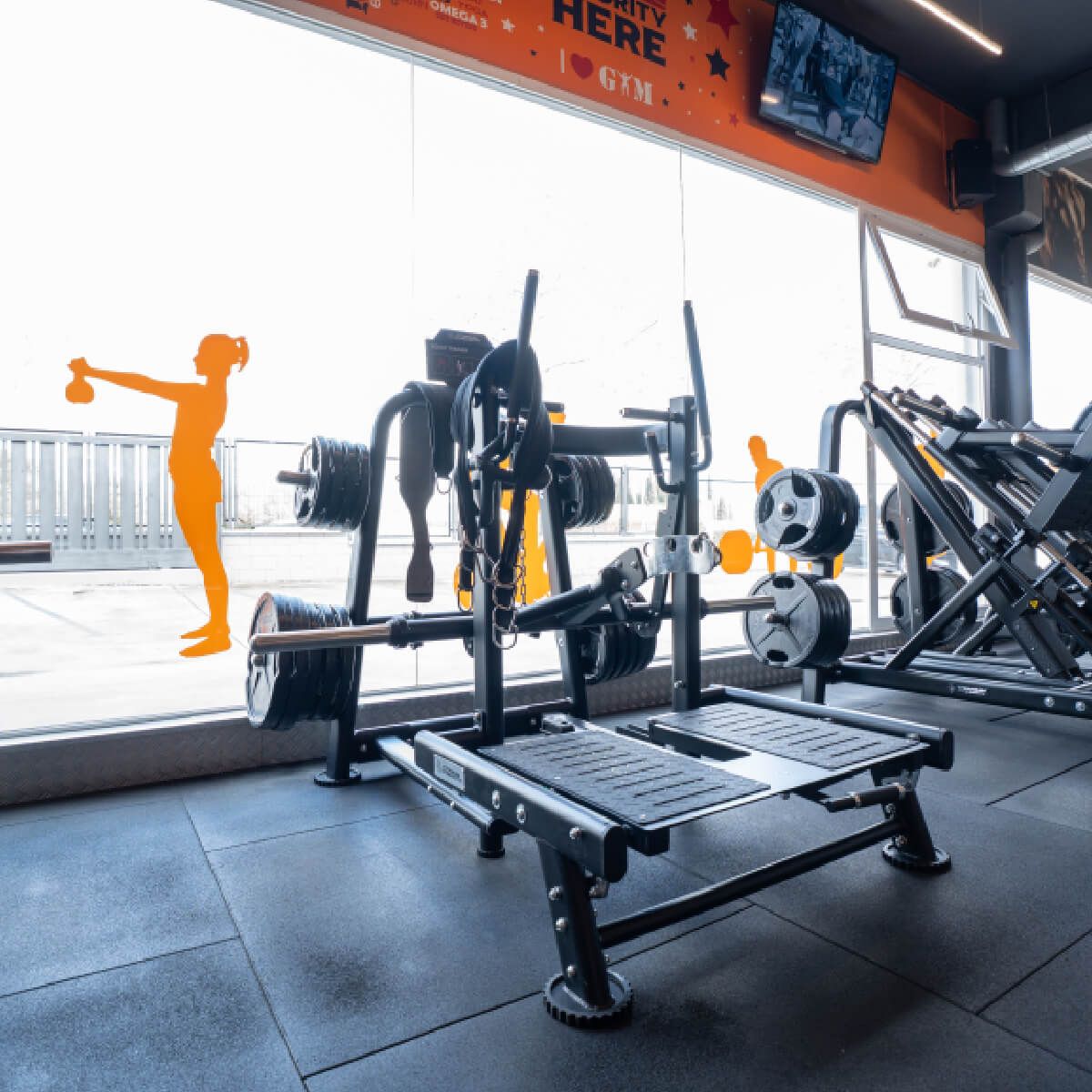 Titanium Strength Genesis Series Belt Squat
