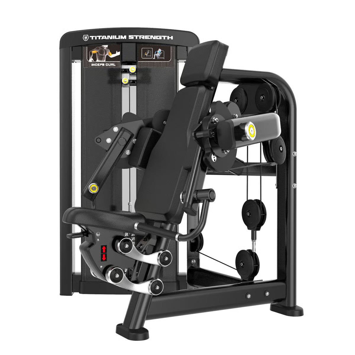 Titanium Strength Genesis Series Bizeps Curl