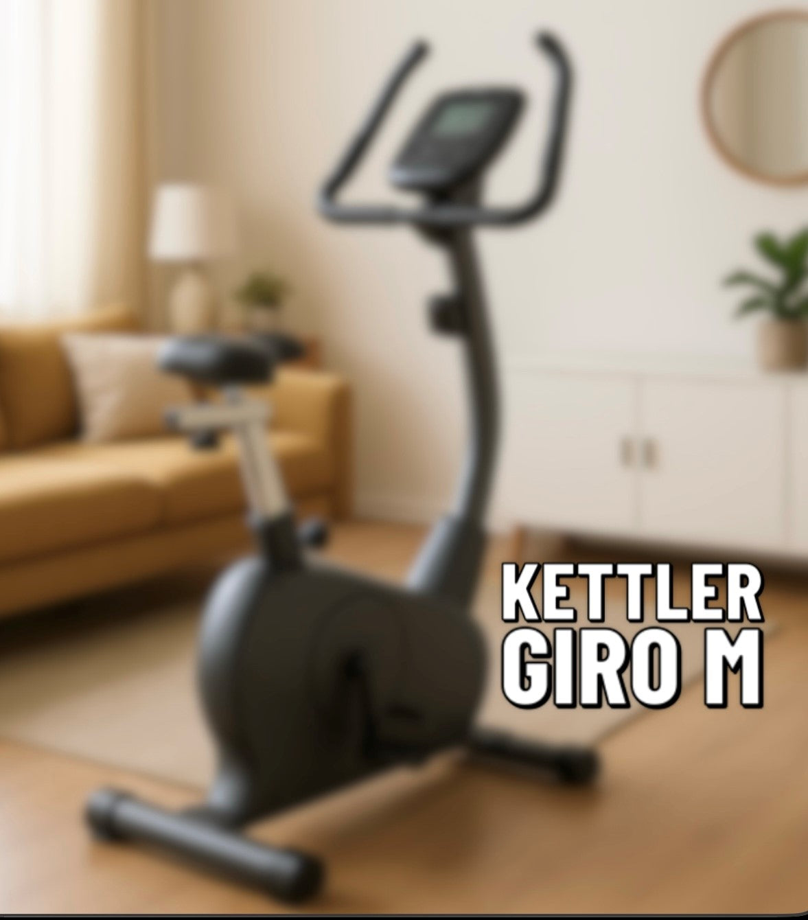 Kettler Heimtrainer Giro M